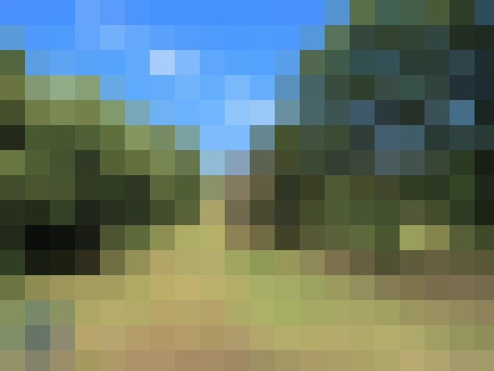  / #7
