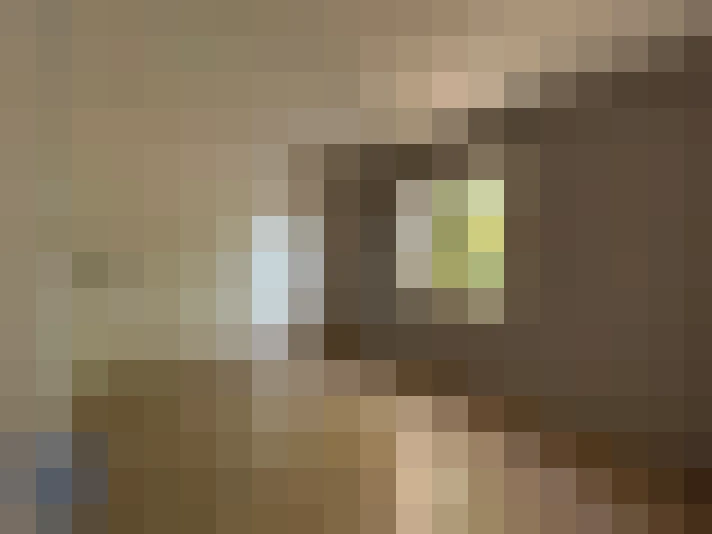  / #11