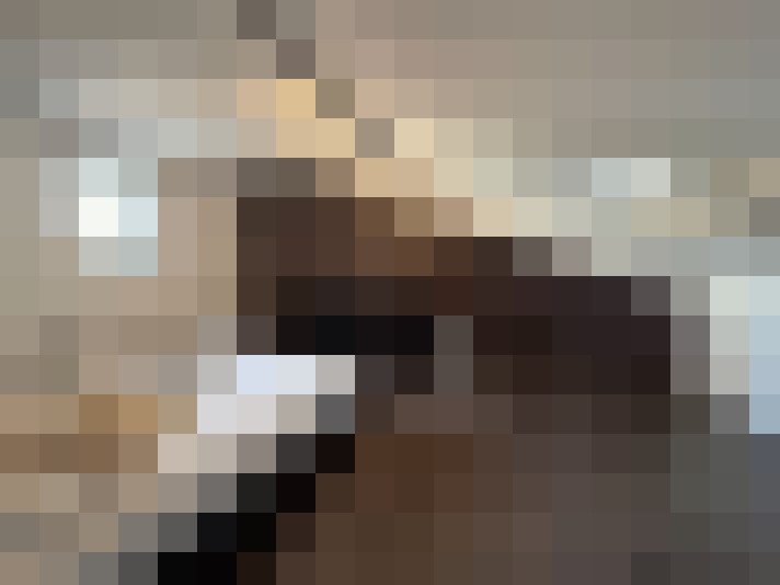  / #8