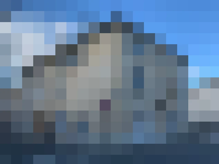  / #7