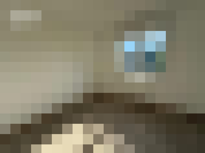  / #14