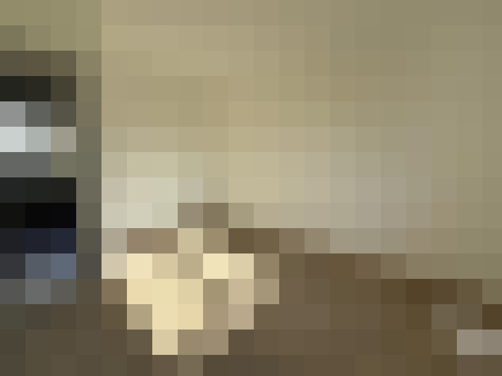  / #15