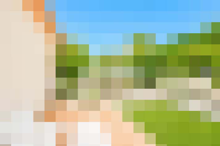  / #14