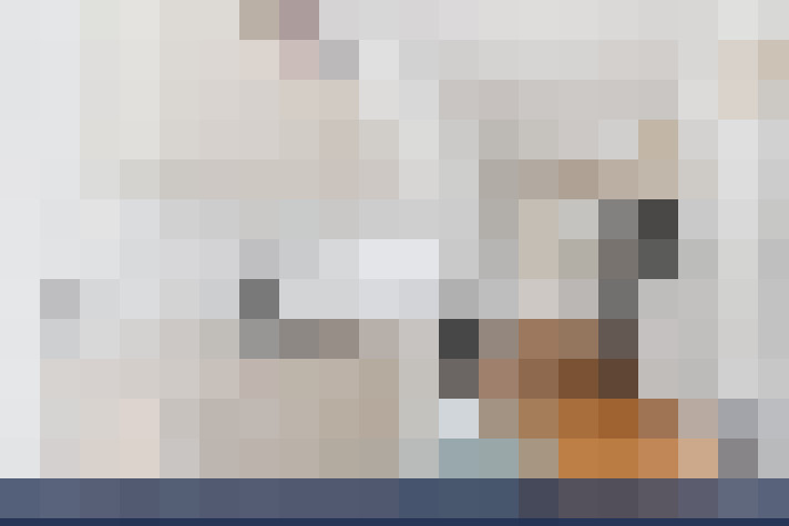  / #12