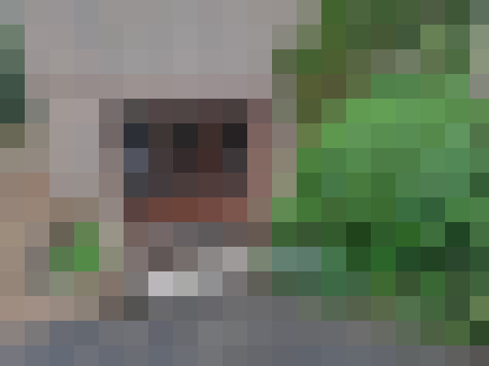  / #15