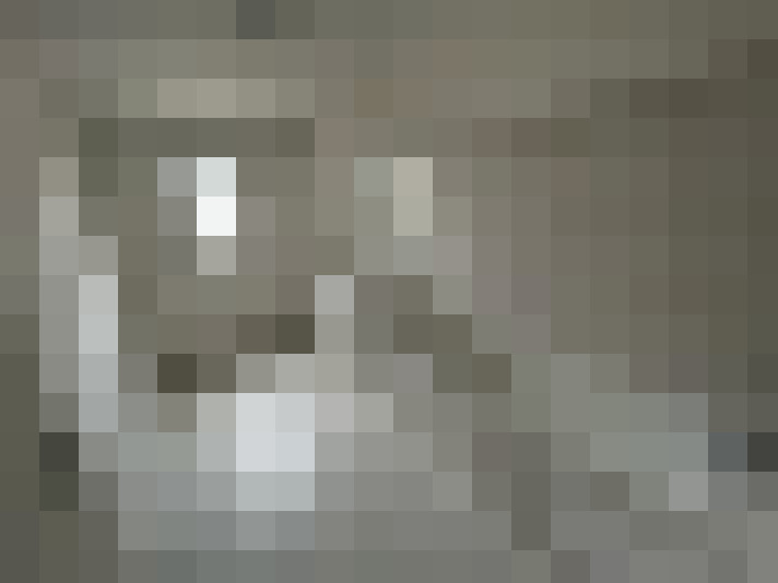  / #8