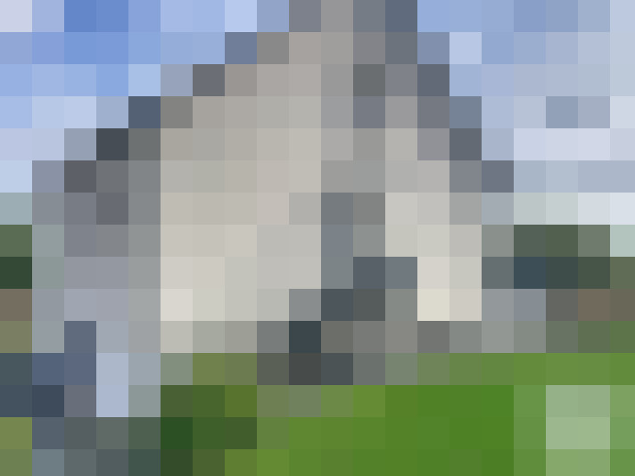  / #15