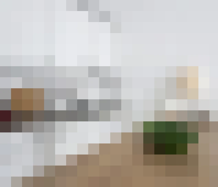  / #7