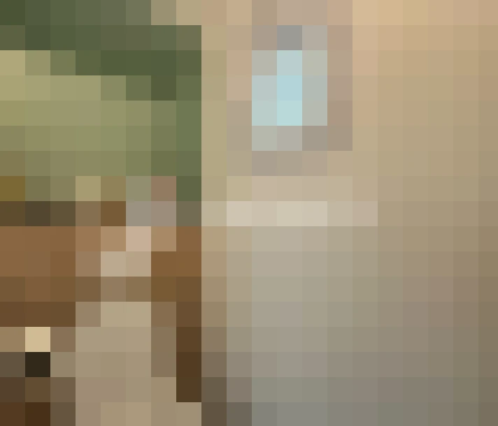  / #19