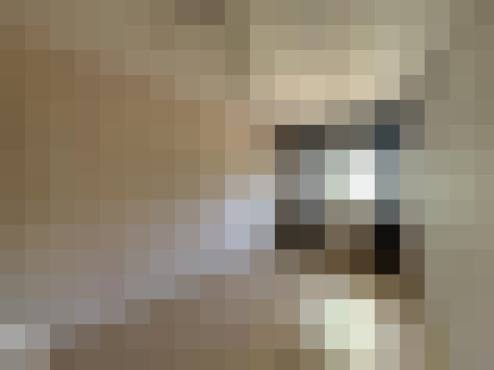 / #7