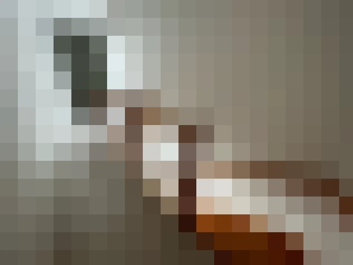  / #15