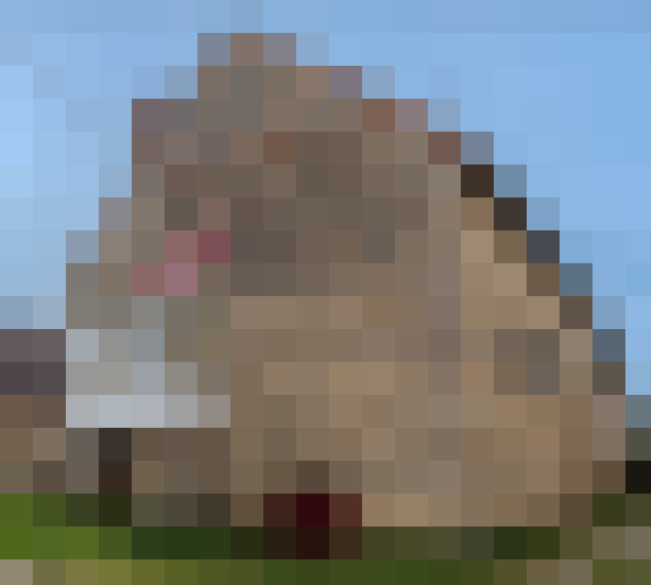  / #6