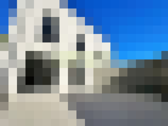  / #11