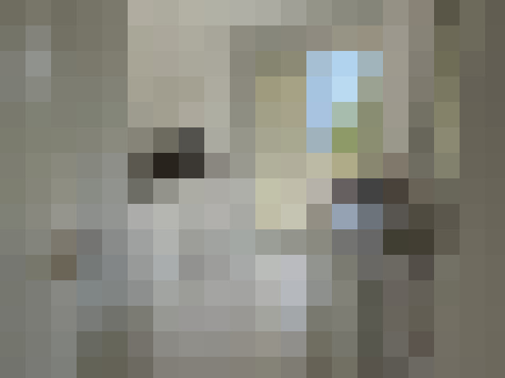  / #11