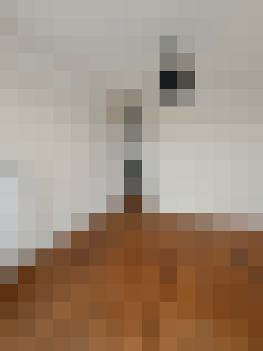  / #6