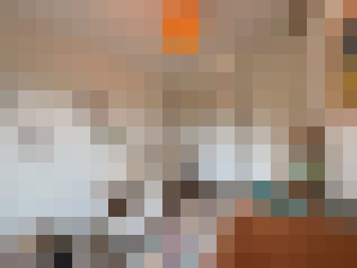 / #16