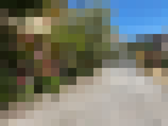  / #7