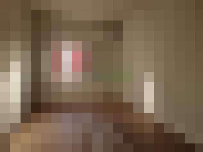  / #15