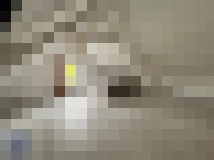  / #15