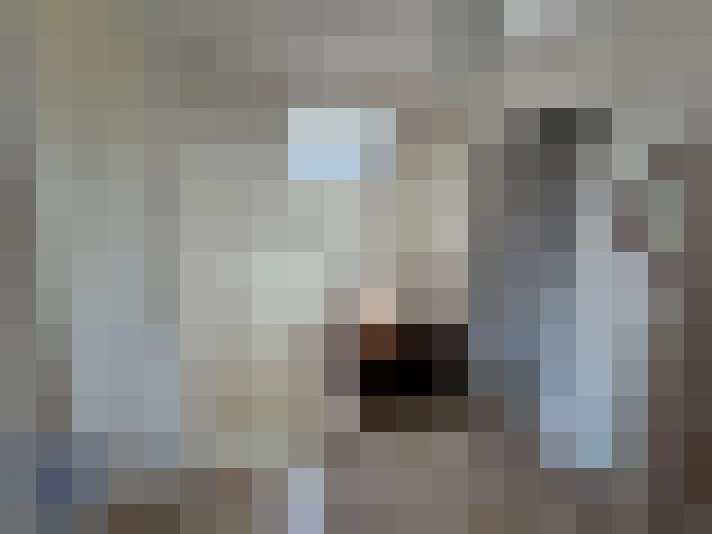  / #14