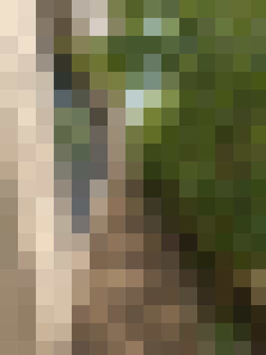  / #15