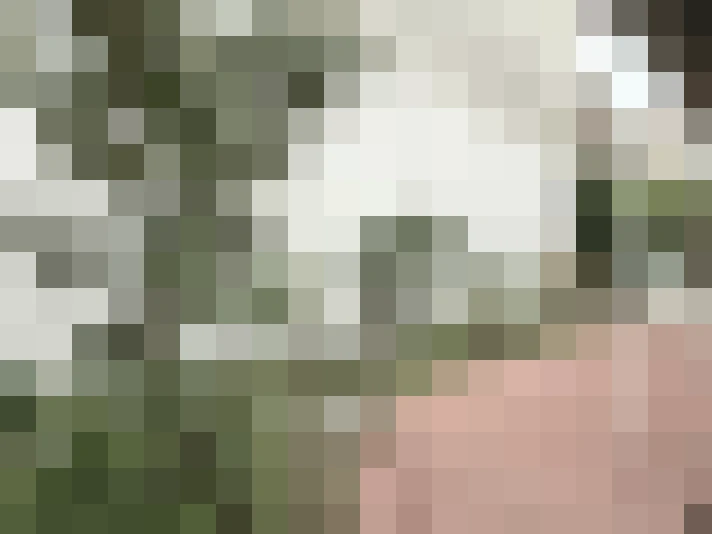  / #17