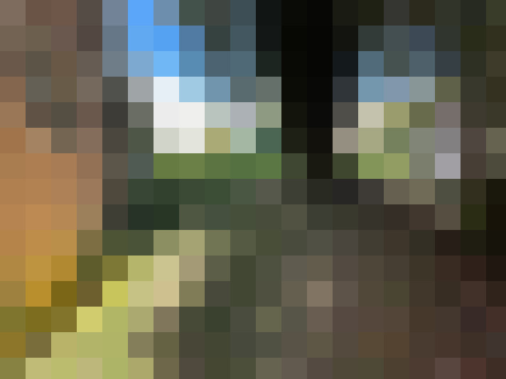  / #10