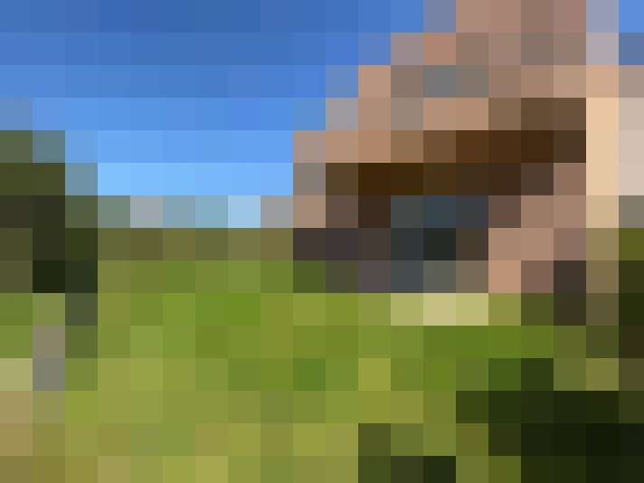  / #6
