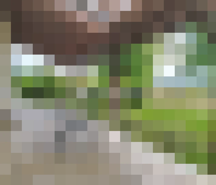  / #14