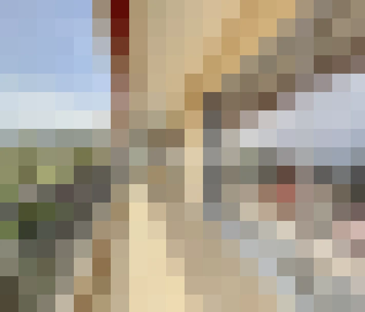  / #14