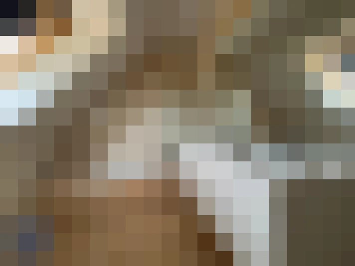  / #15