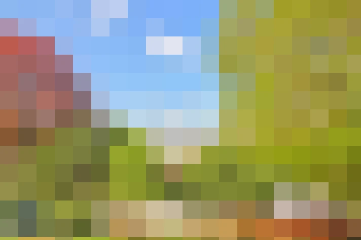  / #8