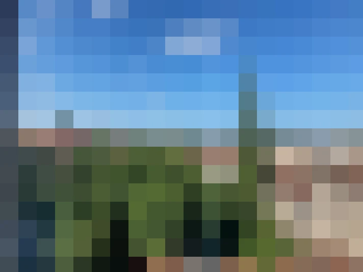  / #9