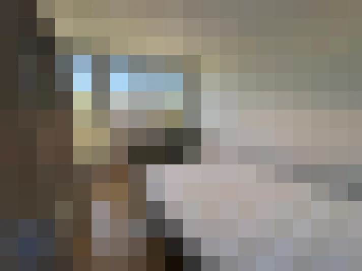  / #8