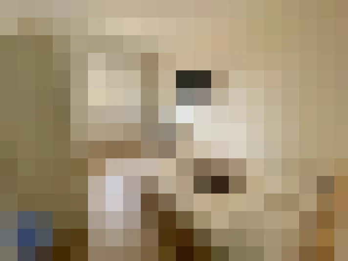  / #8