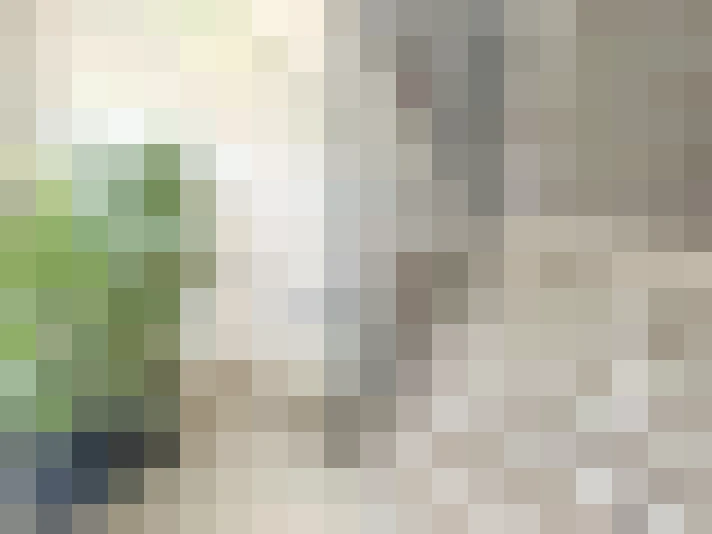  / #17