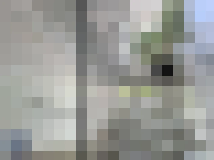  / #16