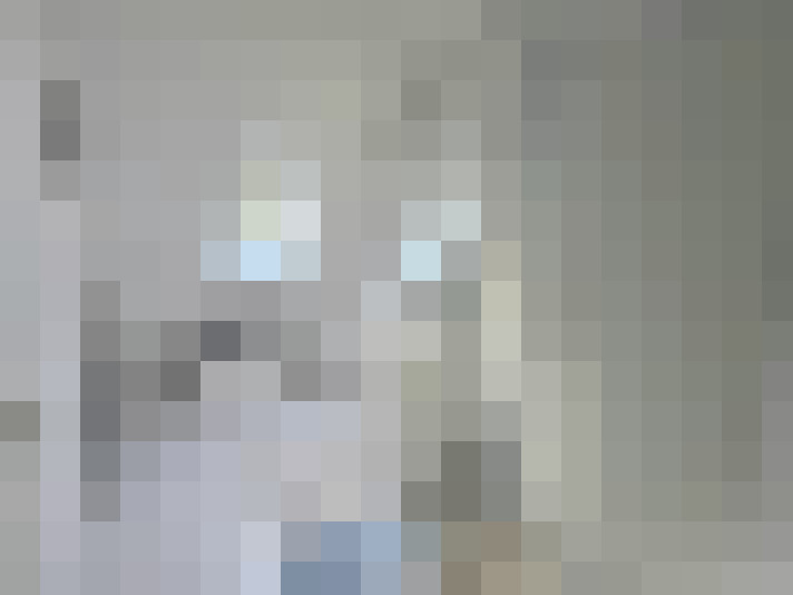  / #12