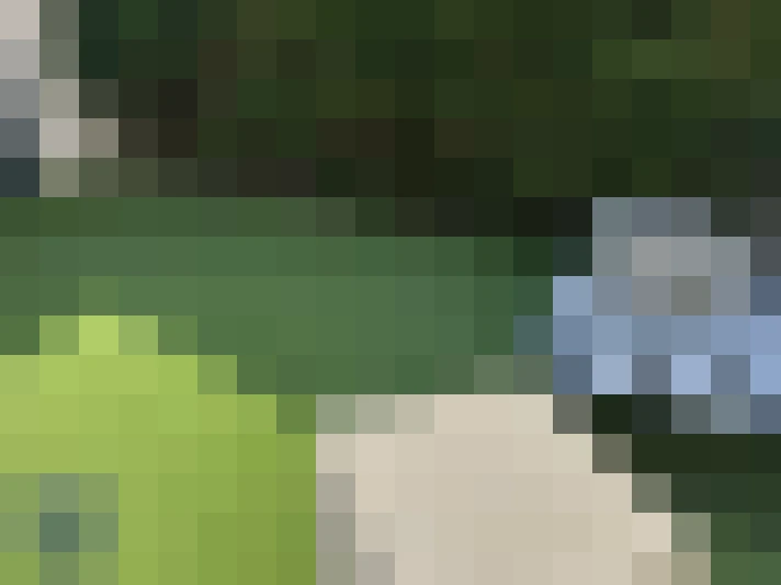  / #15