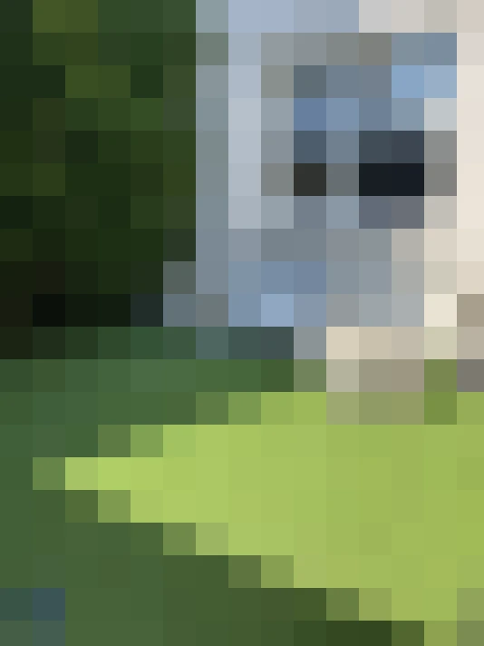  / #14