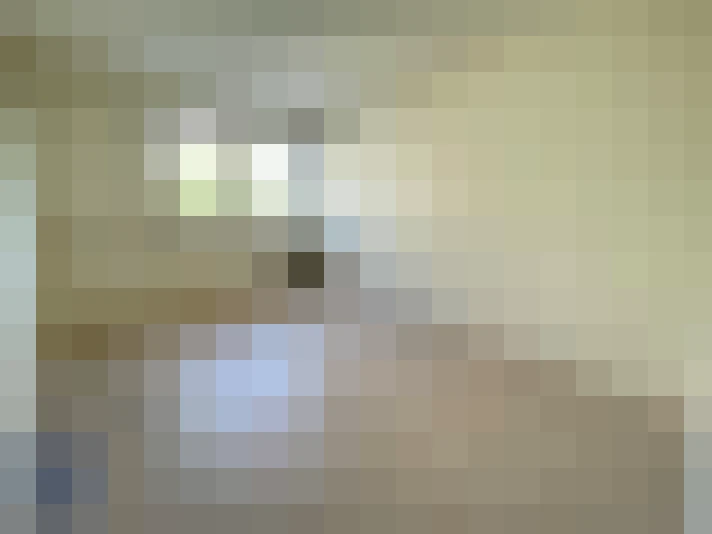  / #8