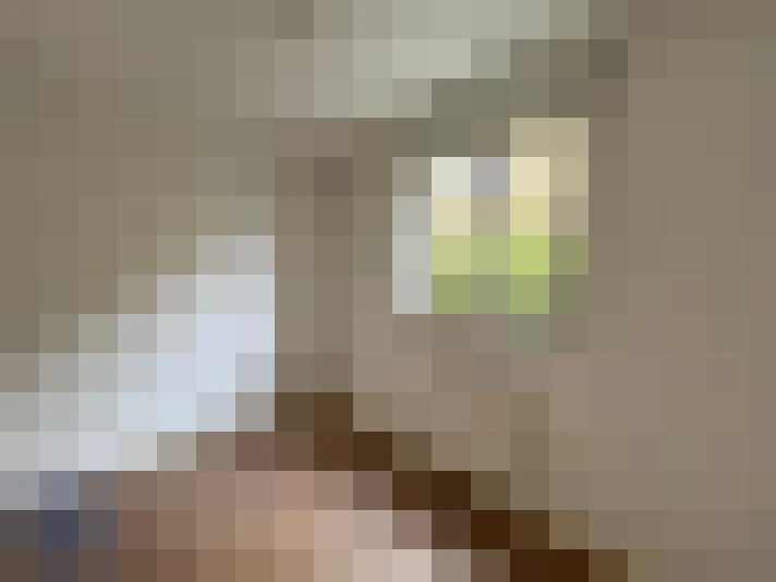  / #7