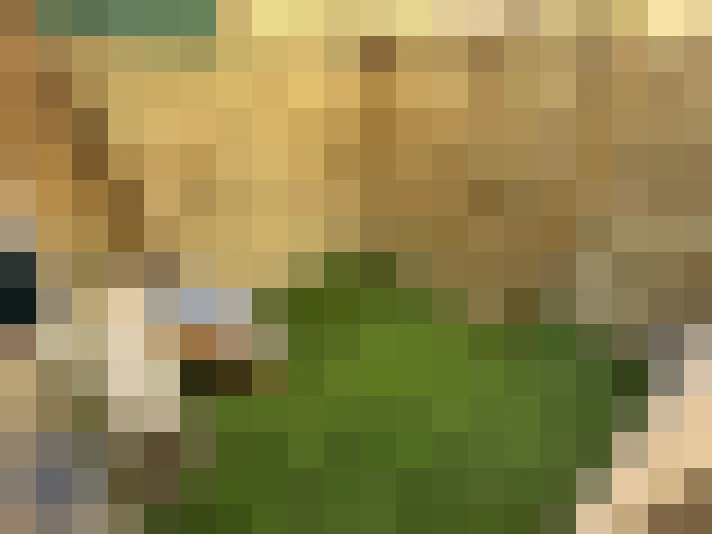  / #7