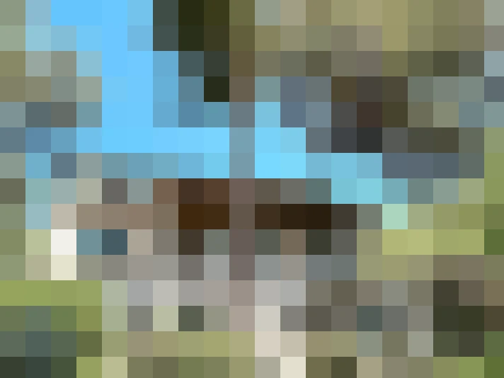  / #8