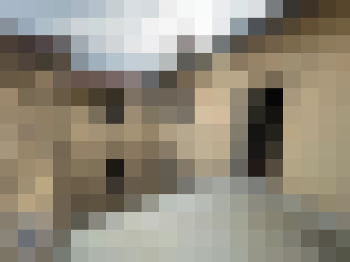  / #15