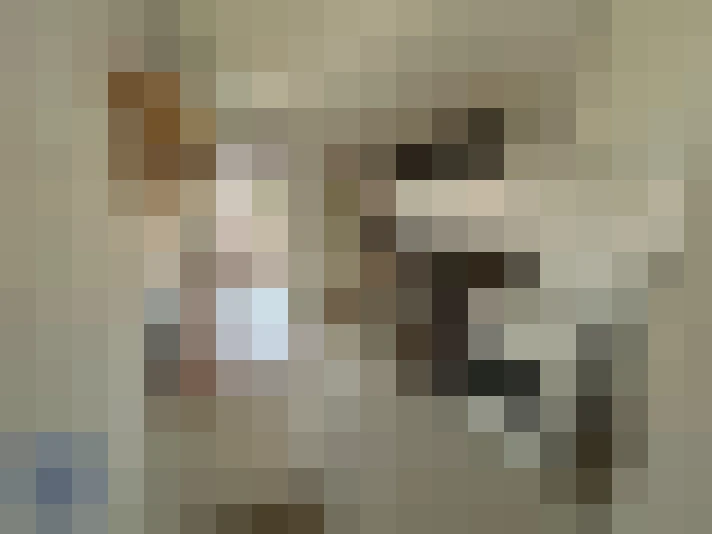  / #2
