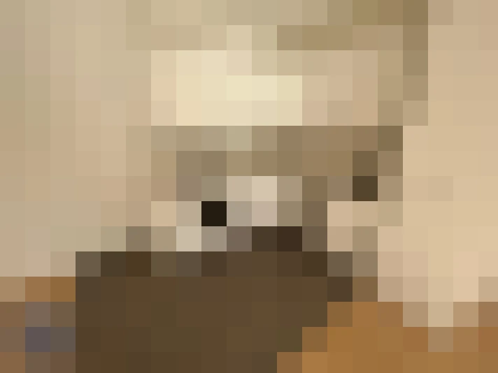  / #4
