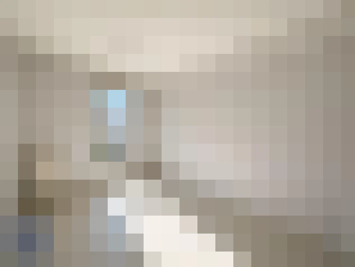  / #7