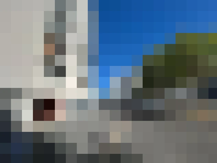  / #7
