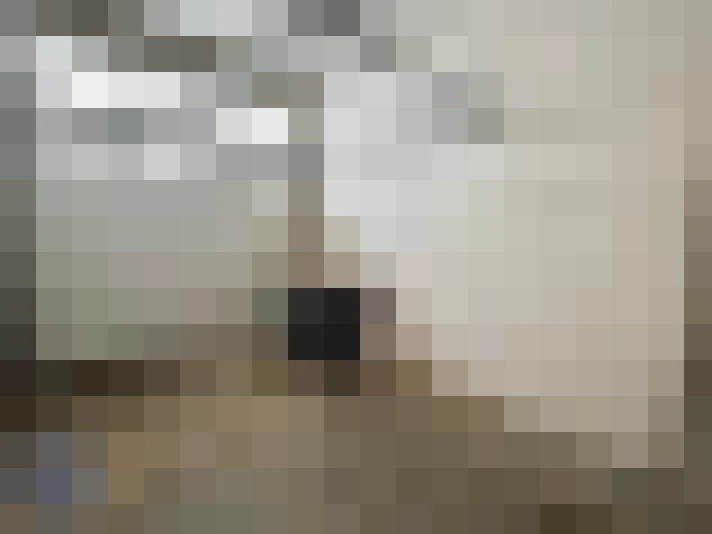  / #16